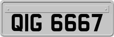 QIG6667