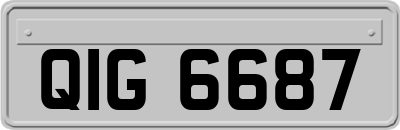 QIG6687