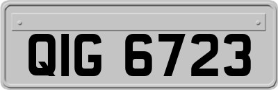 QIG6723