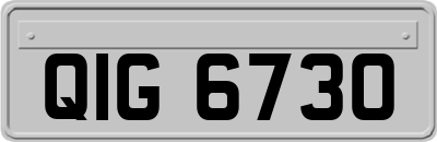 QIG6730