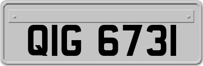 QIG6731