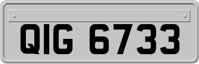 QIG6733