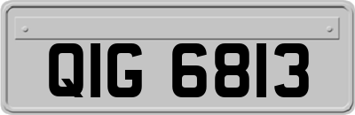 QIG6813