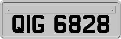 QIG6828
