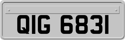 QIG6831