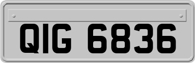 QIG6836