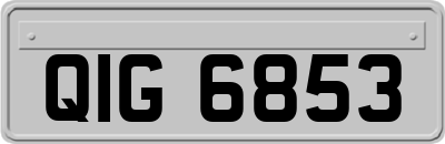 QIG6853