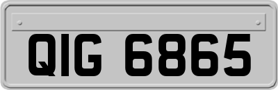 QIG6865