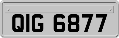 QIG6877