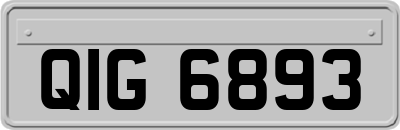 QIG6893