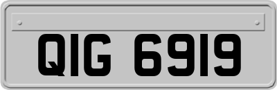 QIG6919