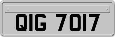 QIG7017