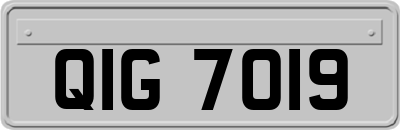 QIG7019