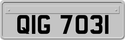 QIG7031