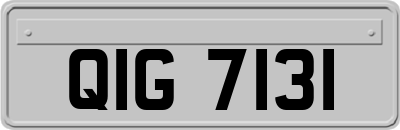 QIG7131