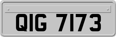 QIG7173
