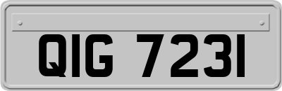 QIG7231