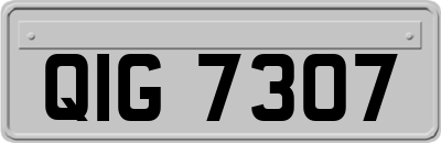 QIG7307