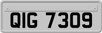 QIG7309