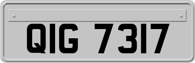 QIG7317