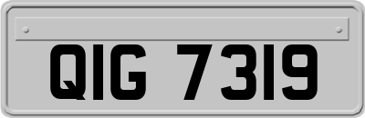 QIG7319