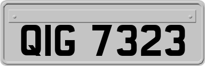 QIG7323