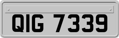 QIG7339