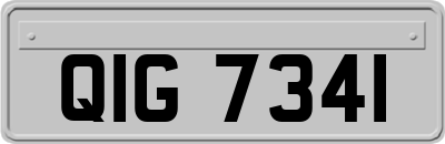 QIG7341
