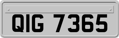 QIG7365
