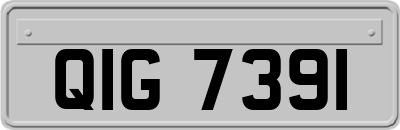 QIG7391