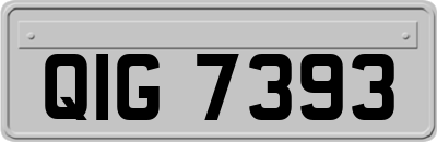 QIG7393