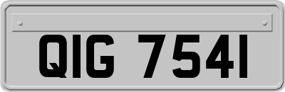 QIG7541