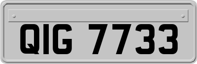QIG7733