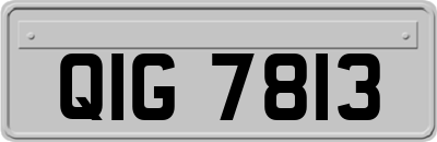 QIG7813