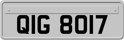 QIG8017