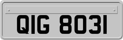 QIG8031