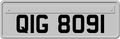 QIG8091