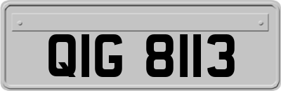 QIG8113