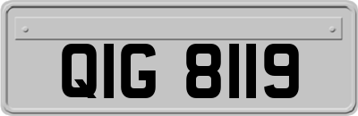 QIG8119