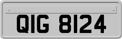 QIG8124