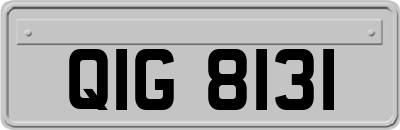 QIG8131