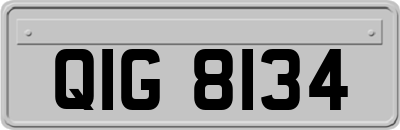 QIG8134