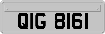 QIG8161