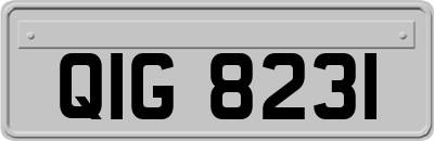 QIG8231