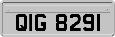 QIG8291