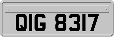 QIG8317