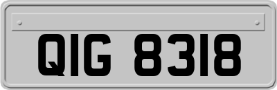 QIG8318
