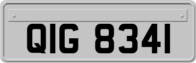 QIG8341
