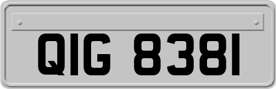 QIG8381