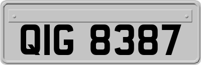 QIG8387